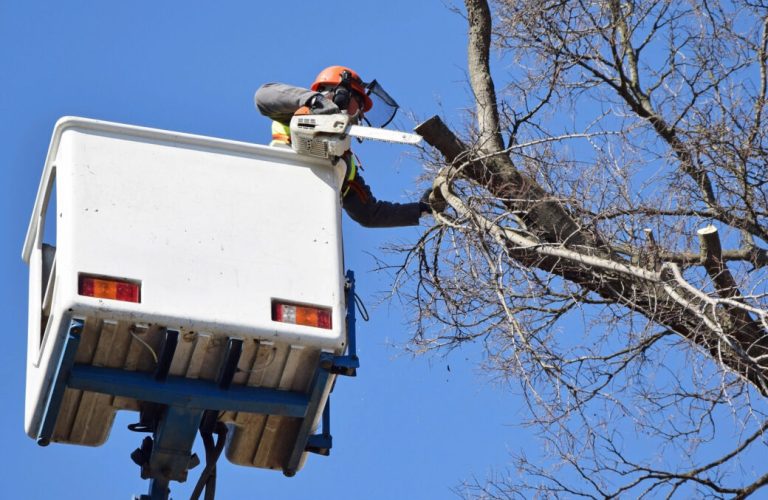 Depositphotos_69192239_XL