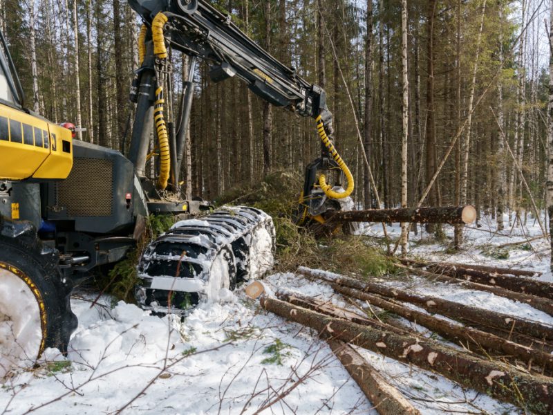 Image of log loader cut down trees in winter forest